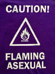 The white design on a purple t-shirt, top: 'Caution!', middle: A fire symbol in a warning triangle, bottom: 
